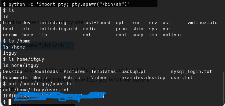 Pasted image 20260601202116.png